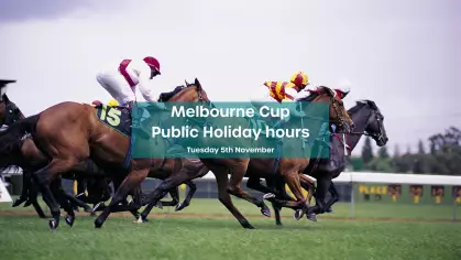 image-for-melbourne-cup-public-holiday